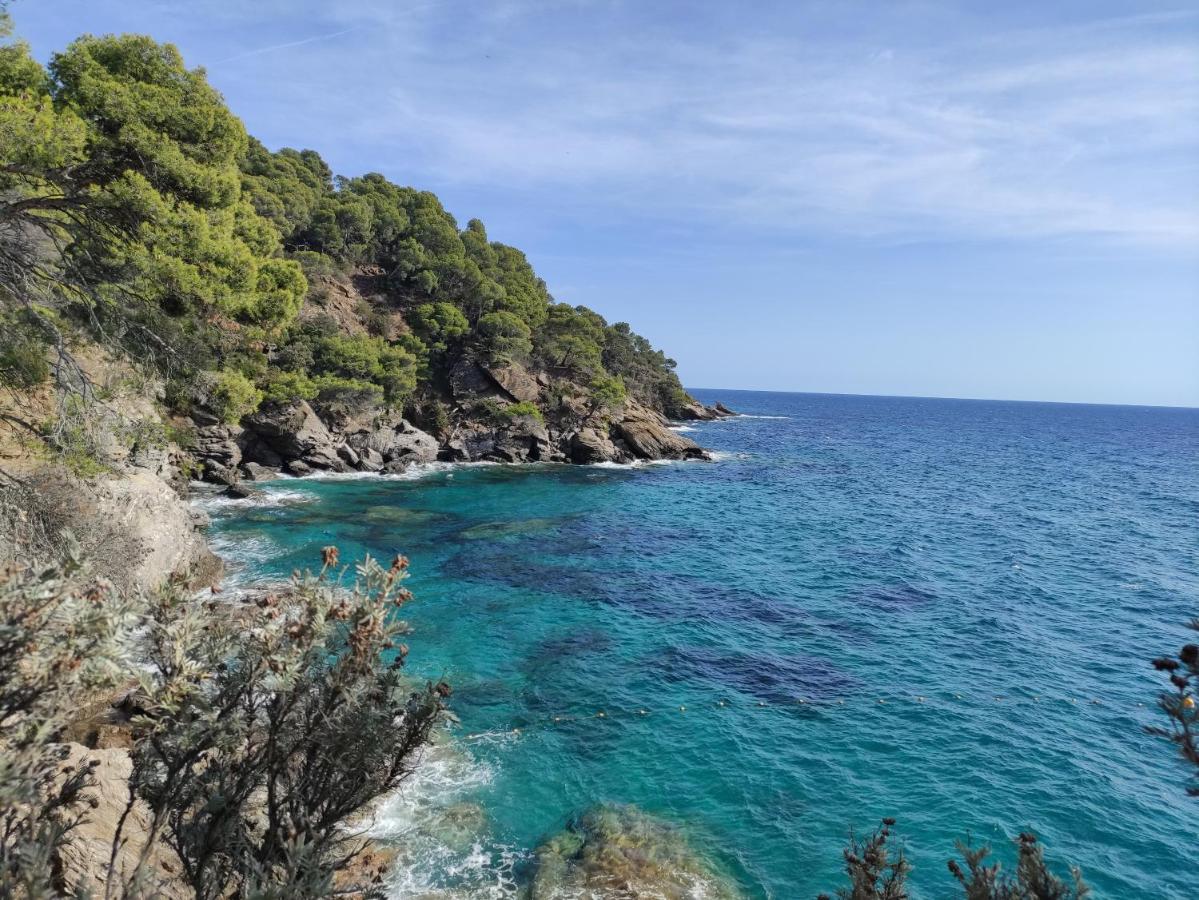 Vue Panoramique Exceptionnelle Διαμέρισμα Le Lavandou Εξωτερικό φωτογραφία