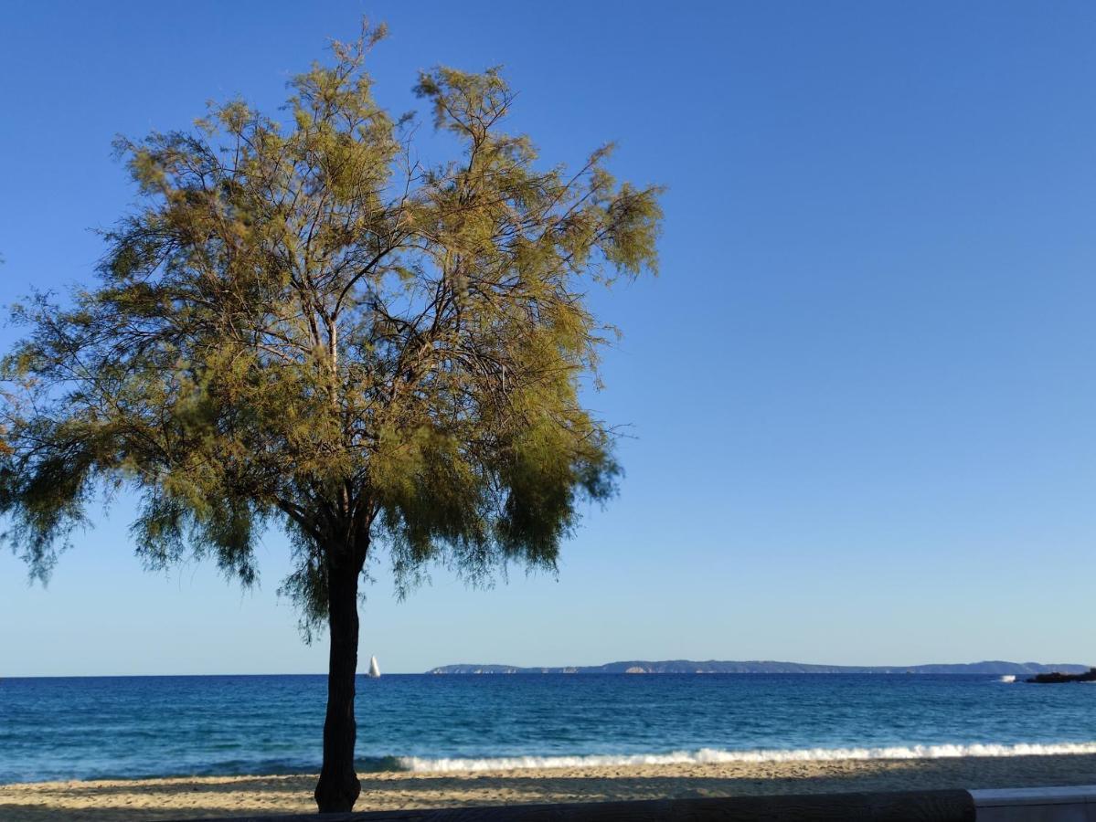 Vue Panoramique Exceptionnelle Διαμέρισμα Le Lavandou Εξωτερικό φωτογραφία